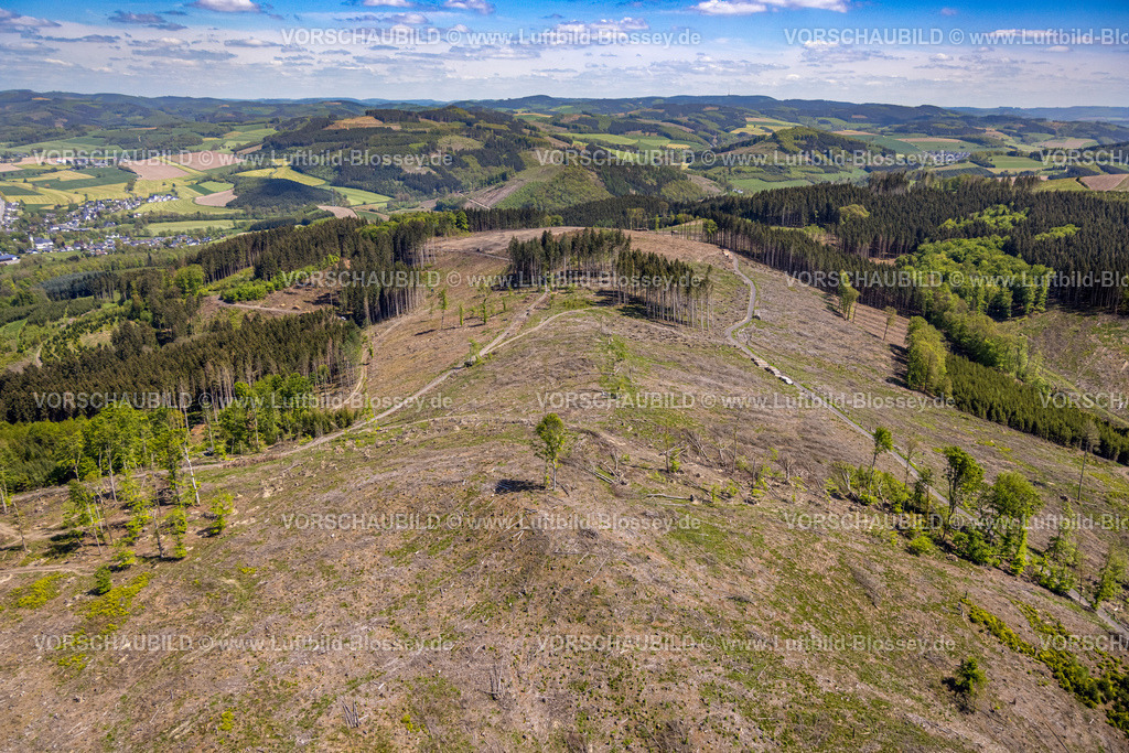 Eslohe230505805 | Luftbild, Waldsterben, Waldgebiet mit Waldschäden, Frielinghausen, Eslohe, Sauerland, Nordrhein-Westfalen, Deutschland