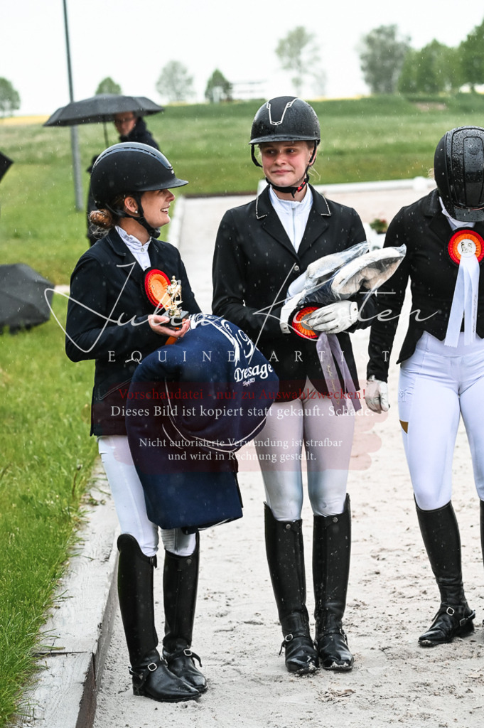 DSC_4770 | Pferde- und Turnierfotografie in Westsachsen. Pferdeportraits, Auftragszeichnungen und intuitive Kunst.