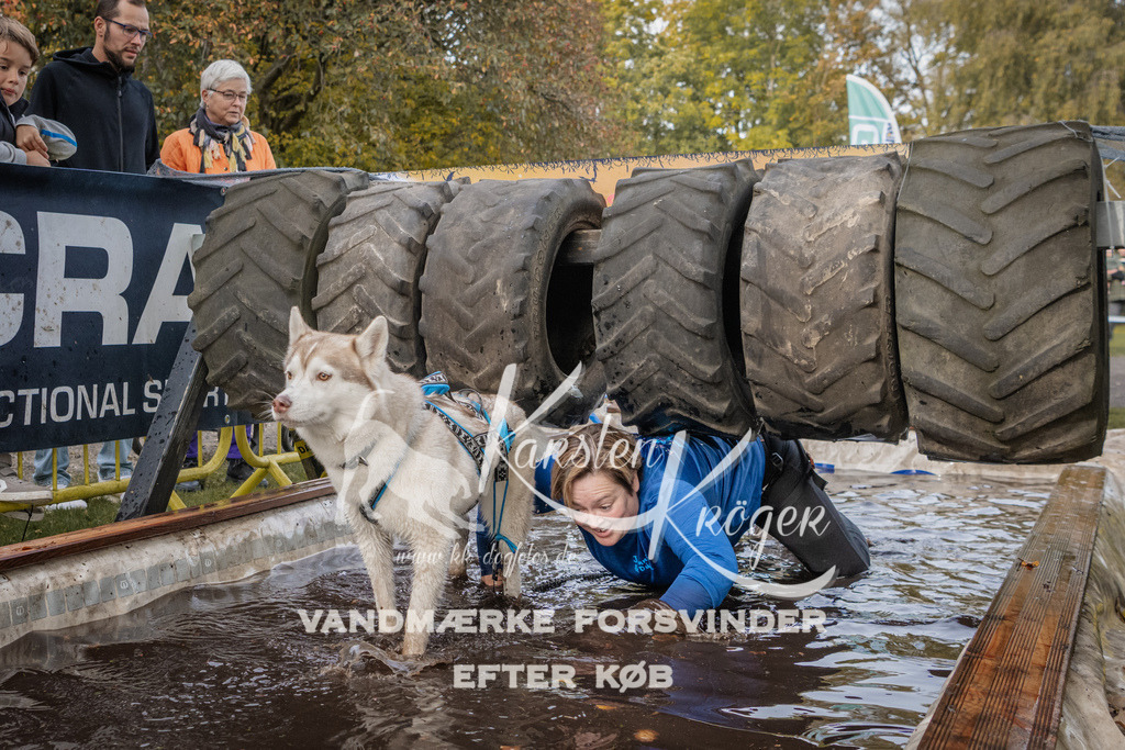 1449_ZZ90342 | kk-dogfotos