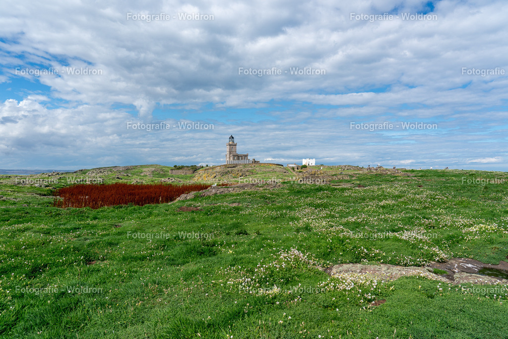 20230815 Isle of Sky - St.Andrews - Dundee-76 | Fotografie Woldron