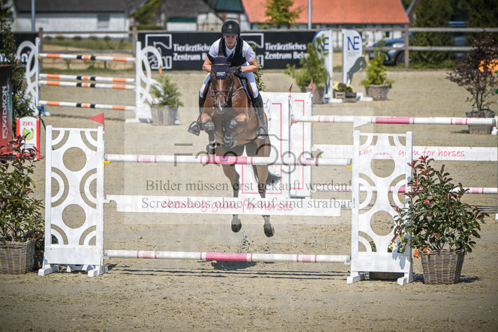 DOS_1363 | Entdecke hochwertige Reitturnierfotos von Foto Oger. Professionell, emotional und authentisch – jetzt Lieblingsmomente im Shop bestellen.Deutschlandweite Turnierfotografie. - Realisiert mit Pictrs.com
