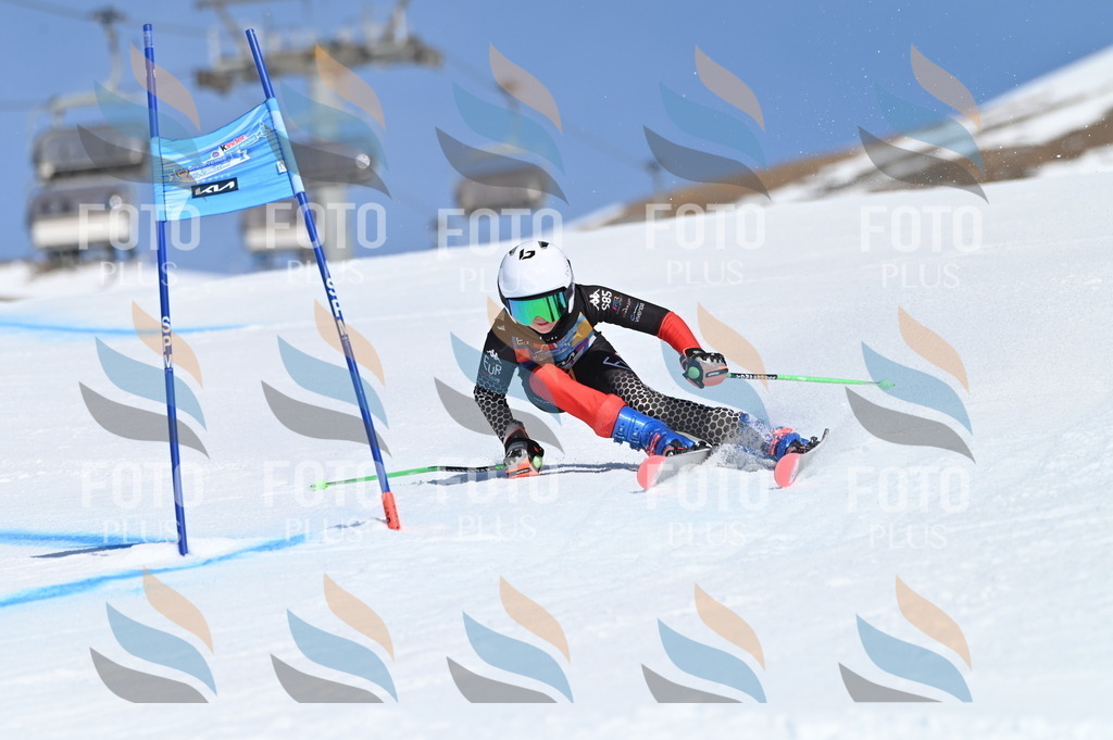 BGV_9081 | holidayphoto