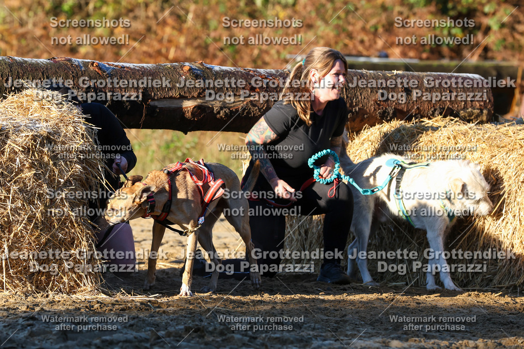 Dog Paparazzi - Strongdog 10-25-829 | Dog Paparazzi Jeanette Grottendiek Fotografie & Videografie - Realisiert mit Pictrs.com