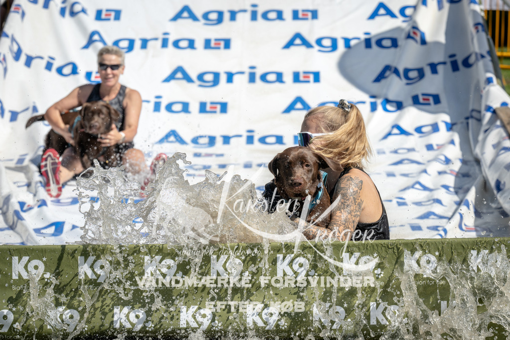 1217_ZZ95853 | kk-dogfotos