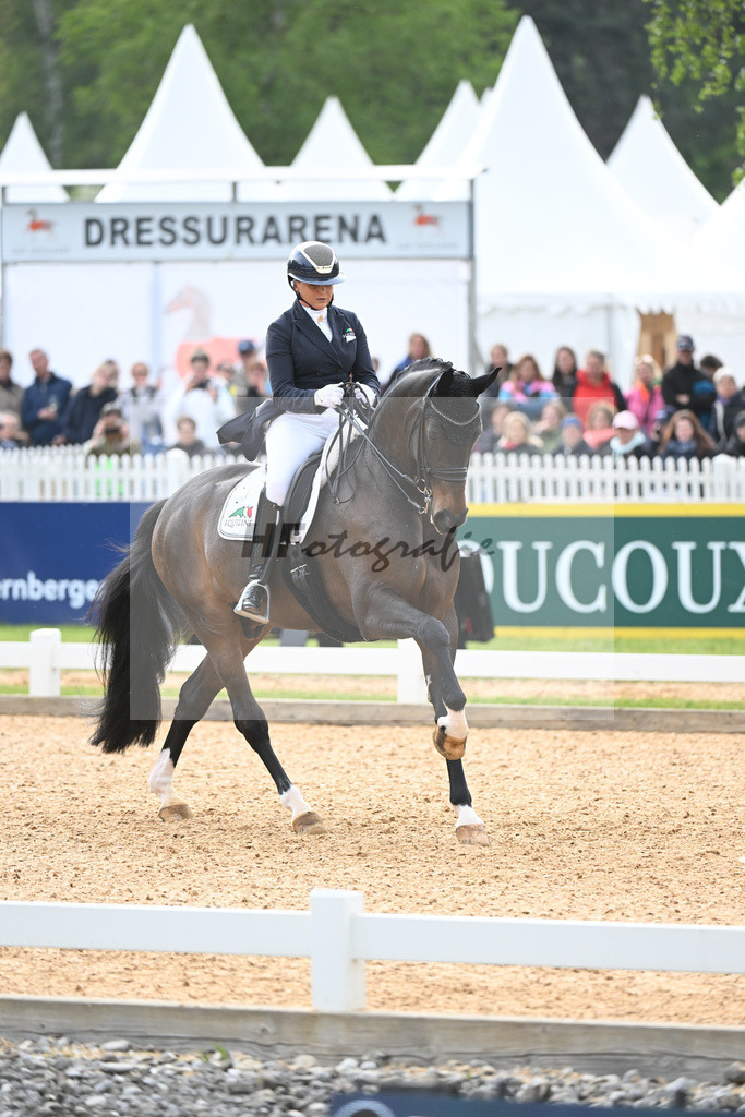 Schneider_First Romance_11232919 | hf-fotografie - Realisiert mit Pictrs.com