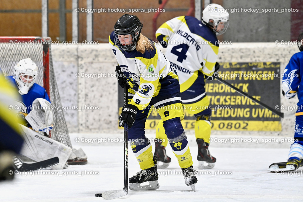 Wildcats Paternion vs. Lady Hawks  | #9 Neumann Magdalena WILDCATS PATERNION, Wildcats Paternion vs. Lady Hawks , Wildcats Paternion vs. Lady Hawks  am 27.01.2025 in Spittal an der Drau (Eissportzentrum Spittal), Austria, (Photo by Bernd Stefan)