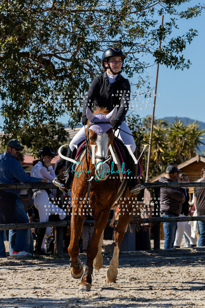 IMG_9318 | s-jay-photography - Realisiert mit Pictrs.com