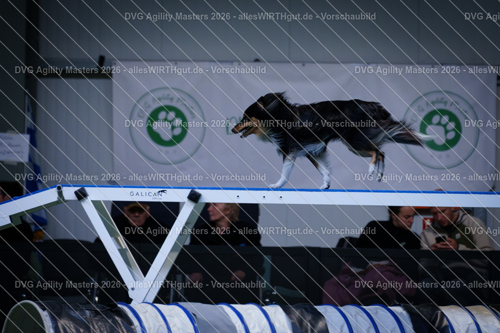 allesWIRTHgut_Tierfotografie-DVG_Agility_Masters_2026-14_48-7R505526 | Professionelle Tierfotografie in Mönchengladbach von Daniel Wirth (allesWIRTHgut). Liebevolle & natürliche Bilder von Hunden & Katzen für unvergessliche Erinnerungen.