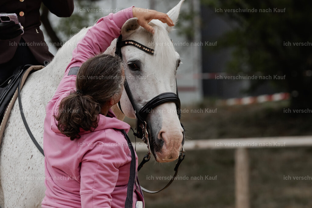 WE_DR_Stoib_318_PI2025_510 | Pferd International München 2025