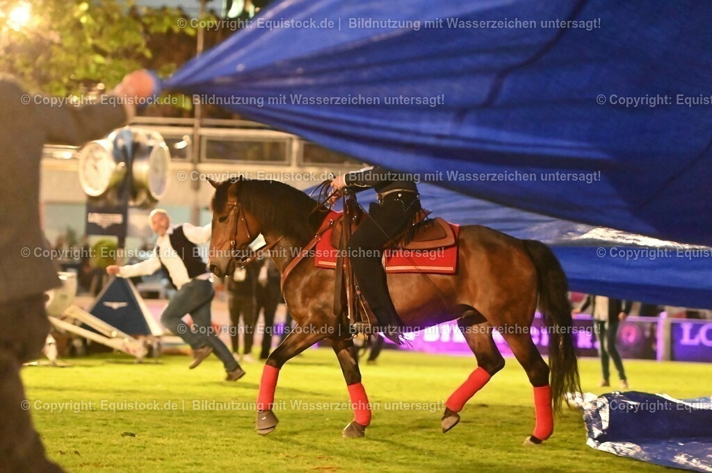 20230526_Pferdenacht_1075 | equistock