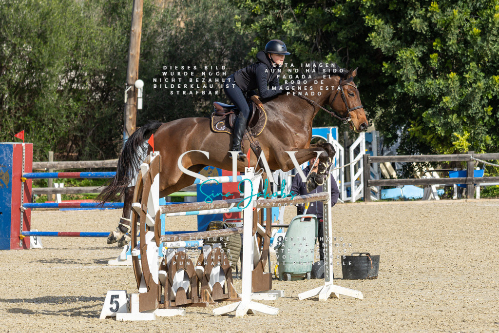 IMG_4583 | s-jay-photography - Realisiert mit Pictrs.com