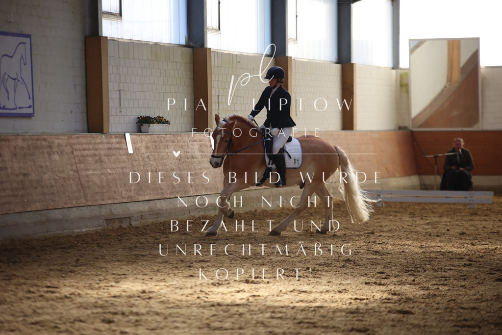 IMGT6252 | pl-fotografie