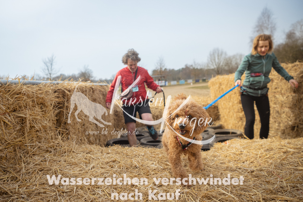 1018_ZZ93867 | kk-dogfotos