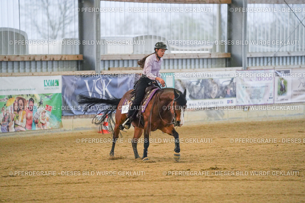 DSC09370 | Pferdegrafie