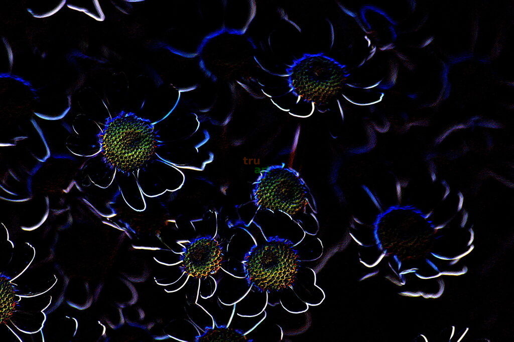 Stay inspired | Moderne Digital Art – Exklusive Kunstwerke für dein Zuhause
Entdecke einzigartige Digital Art und verleihe deinen Räumen eine moderne und stilvolle Atmosphäre. Unsere hochwertigen Kunstdrucke kombinieren innovative Technik mit künstlerischer Kreativität und bringen abstrakte, geometrische und futuristische Designs direkt an deine Wand.
✔ Hochauflösende Drucke in brillanten Farben
✔ Exklusive Motive von talentierten Digital Artists
✔ Verschiedene Formate für jeden Raum und Stil
✔ Perfekt als Wandkunst für Wohnzimmer, Büro oder Galerie
Lass dich von unserer modernen, abstrakten und minimalistischen Kunst inspirieren und finde dein neues Lieblingsmotiv! Jetzt bestellen und dein Zuhause mit hochwertiger Digital Art verschönern.
 - Realisiert mit Pictrs.com