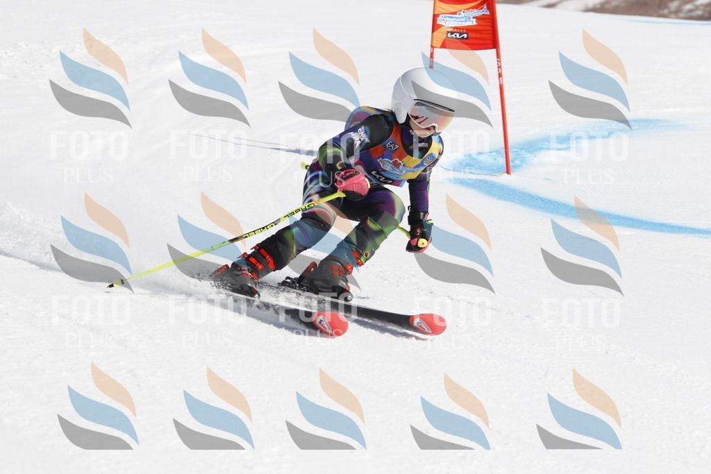 _U3G9826 | holidayphoto