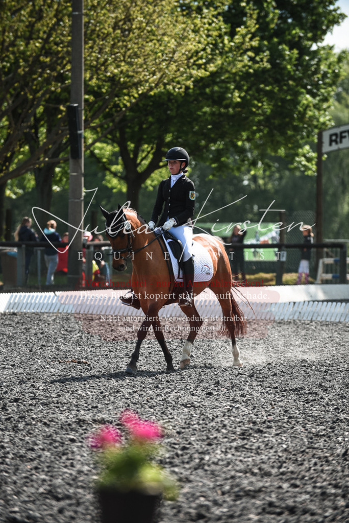 DSC_8983 | Pferde- und Turnierfotografie in Westsachsen. Pferdeportraits, Auftragszeichnungen und intuitive Kunst.