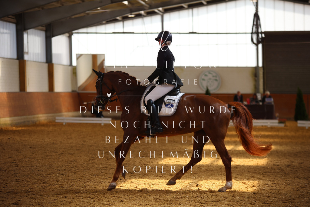 IMGT4734 | pl-fotografie