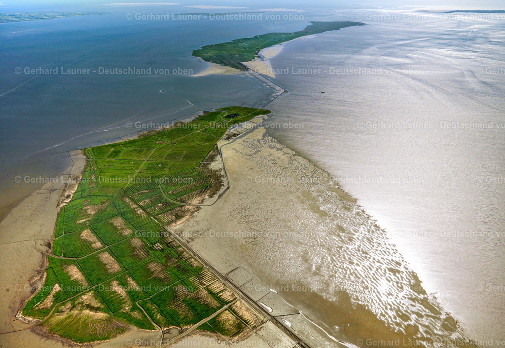 3091349 | Warft Oland, Nationalpark Schleswig-Holsteinisches Wattenmeer