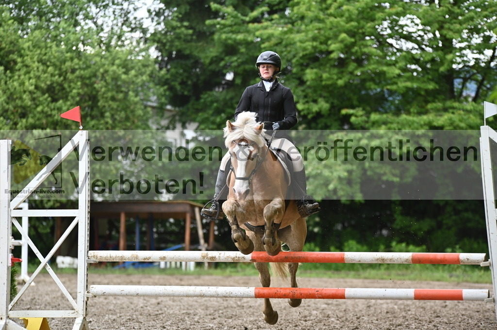 DSC_0597 | equestrian-live-com