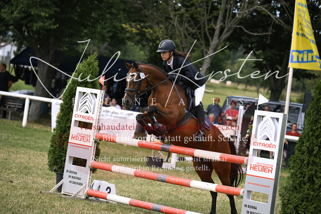 DSC_0658 | Pferde- und Turnierfotografie in Westsachsen. Pferdeportraits, Auftragszeichnungen und intuitive Kunst.