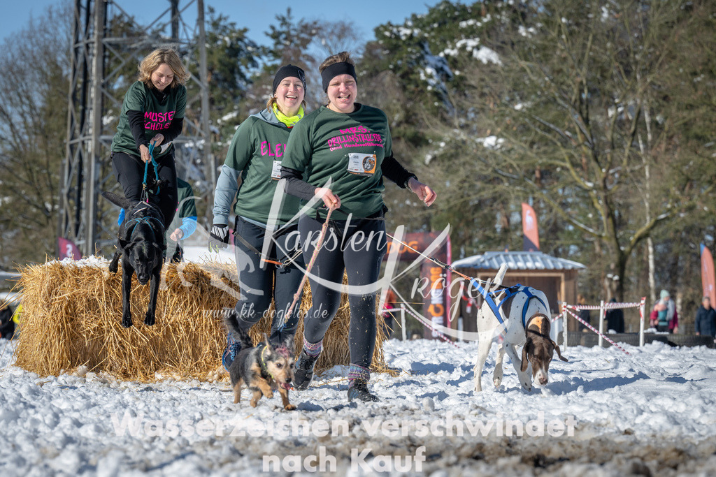 1123_ZZ91849-3 | kk-dogfotos