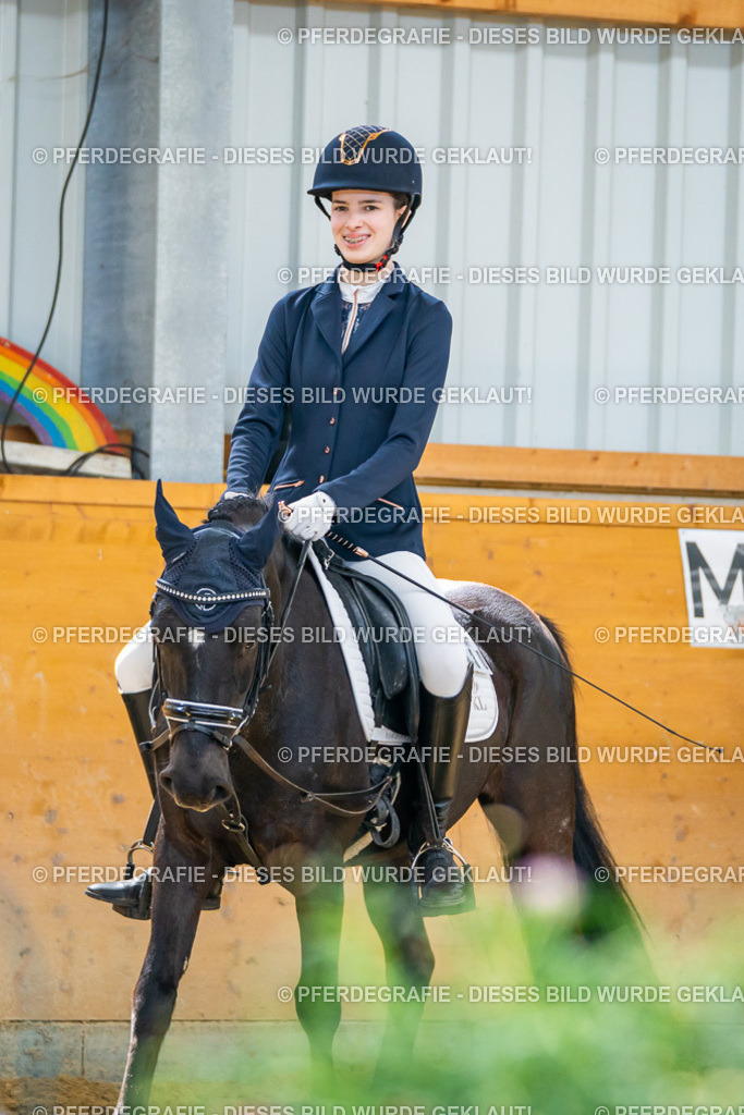 DSC08912 | Pferdegrafie