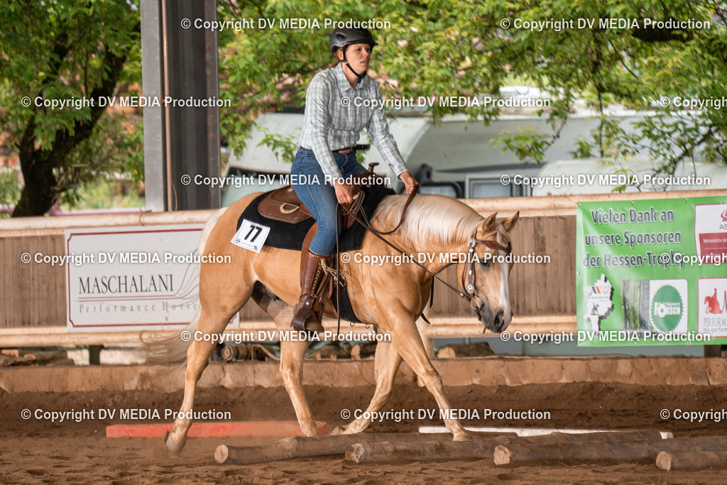 Erbach Tag 2-378 | dv-media-shop - Realisiert mit Pictrs.com