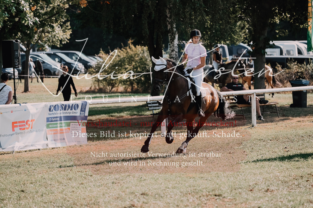 DSC_4791 | Pferde- und Turnierfotografie in Westsachsen. Pferdeportraits, Auftragszeichnungen und intuitive Kunst.