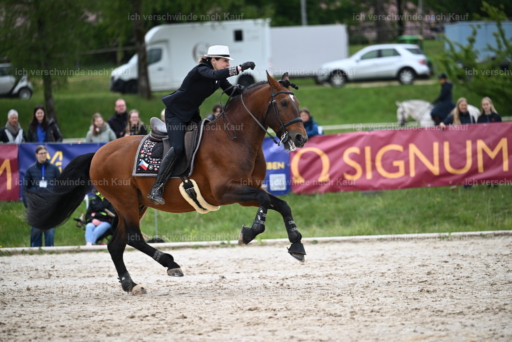 PI26_SP_Sara_Landvogt_226_4948.JPG | working equitationturnier fotograf videograf stoibphotography marixx film working equitation deutschland reitsport turnierfotografie eventfotografie equestrian events