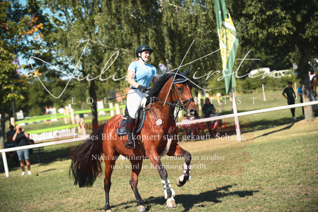 DSC_7156 | Pferde- und Turnierfotografie in Westsachsen. Pferdeportraits, Auftragszeichnungen und intuitive Kunst.