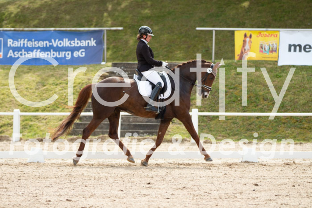 IMG_2371 | Creatify Fotografie