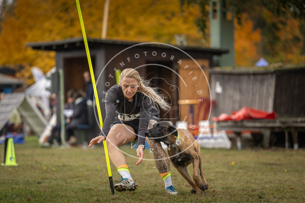 Pfotenfotografie_DV3A6759 | Hundefotografie, Tierfotograf, Pfotenfotografie, Fotoshooting Hund, Hunde Portrait, Hundesport, Hundeportraits, Heideshooting, Hunde, Sportfotograf, Hundefotograf, Turnierhundsport, THS,  - Realisiert mit Pictrs.com