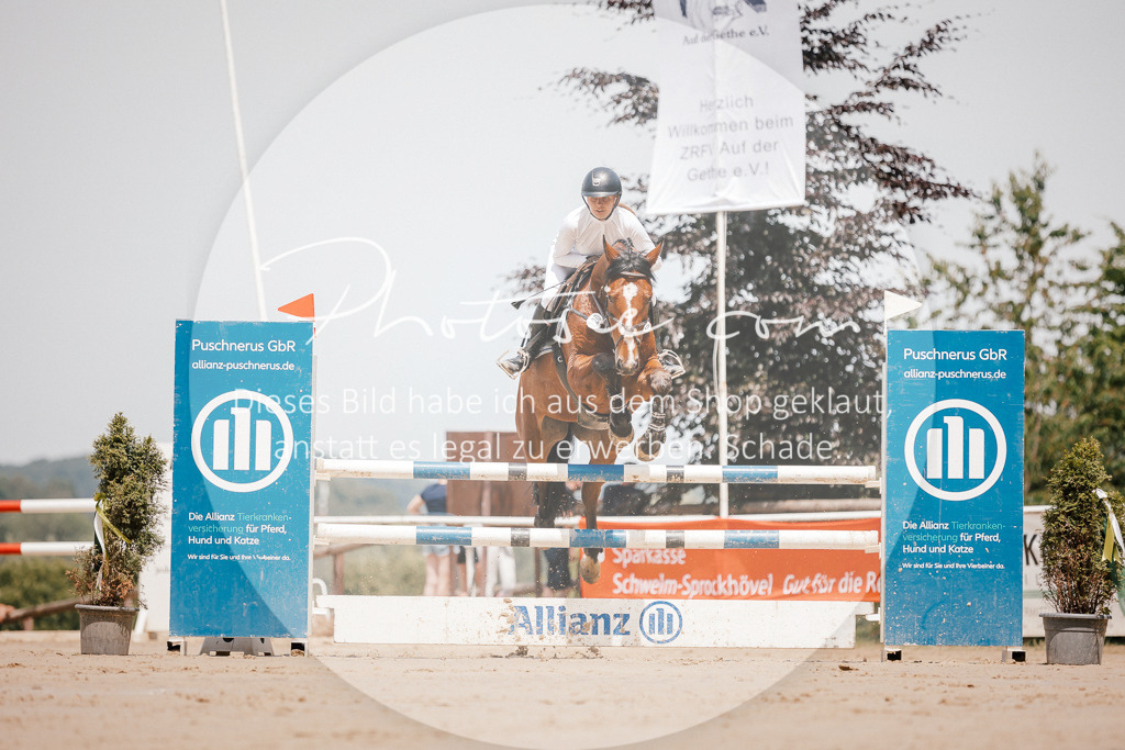 3I6A7750 | Stimmungsvolle Portraits und Reitsportfotografie im Ruhrgebiet und im Münsterland.

Pferdefotografie, Hundefotografie, Tierfotografie, Reportagen, Portraits von Tier und Mensch, Turnierfotografie in Bochum, Recklinghausen, Marl, Haltern am See, Dülmen.. - Realized with Pictrs.com