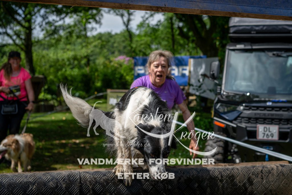 1101_ZZ92395 | kk-dogfotos