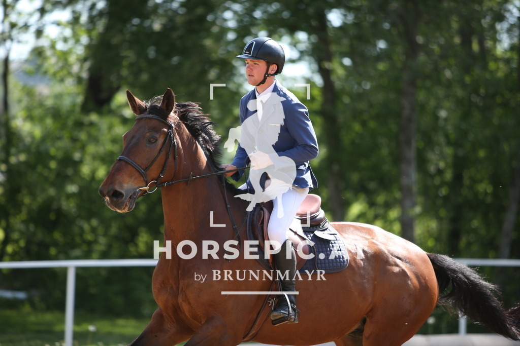 PP011221 | Willkommen bei Brunnmayr - Design & Fotografie – Ihrem Spezialisten für Reitturniere und Pferdeveranstaltungen in Oberösterreich, Salzburg und Bayern! Seit über 17 Jahren sind wir leidenschaftlich dabei.