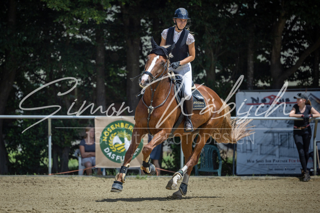 20260704-_3LI9402 | Tierfotografie Pferde, Hunde, Katzen, Haustiere.
Turnierfotografie Reitturniere, Reiten, Springreiten, Dressur in Hanau, dem Main-Kinzig-Kreis und dem Rhein-Main- Gebiet um Frankfurt