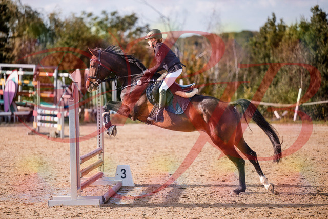 2026_10_03_Siefer-Hof_155937_Z81_79772043 | Professionelle Reitsport-, Turnier- und Eventfotografie von Robert Broda. Galerien mit ausgewählten und bearbeiteten Bildern direkt online ansehen und bestellen.