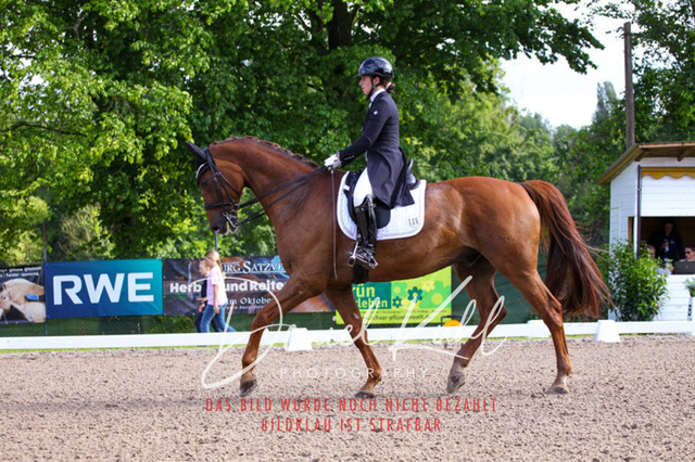 DKP41584 | Deine Turnierfotos vom Reitturnier online kaufen: Dressur, Springen & Siegerehrung. Professionelle Pferdefotografie aus dem Rheinland – als Download & Print.Alternative: Turnierfotograf für den Pferdesport: Finde deine Fotos von Dressur- und Springturnier