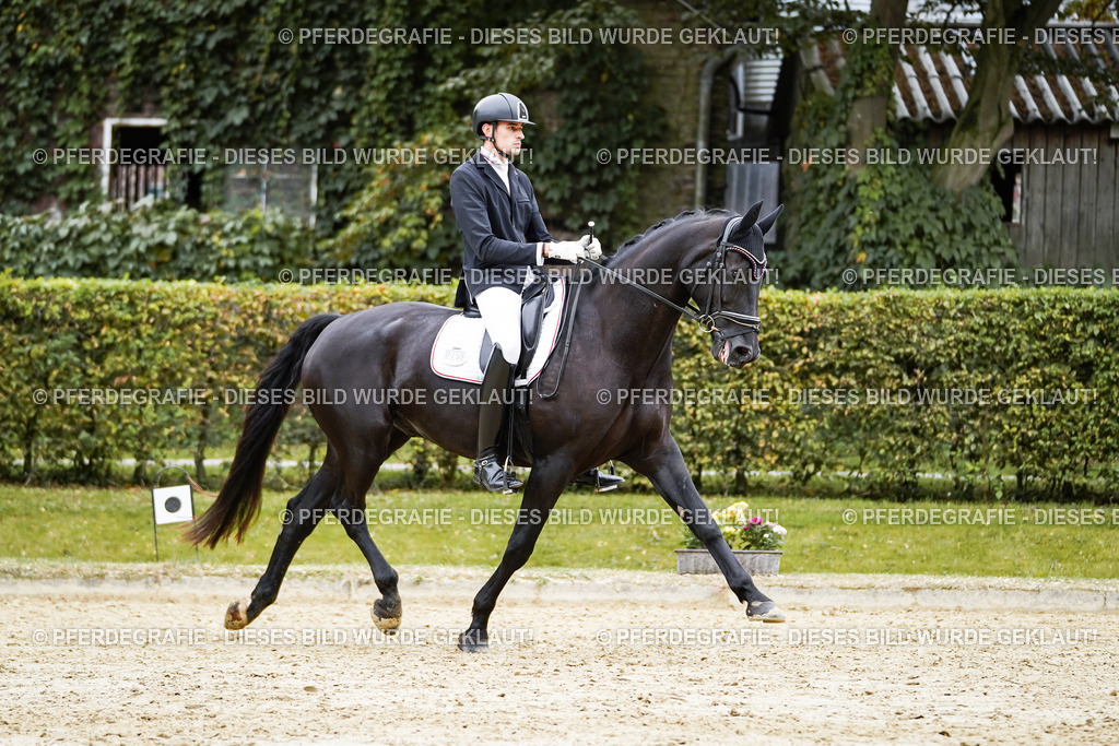 DSC09351 | Pferdegrafie