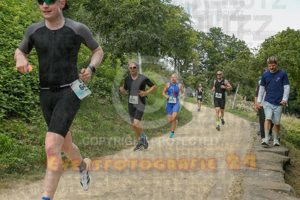 250824_1420_EX1_5851 | Sportfotografie im Rhein-Sieg Kreis, Köln, Bonn, NRW, Rheinland Pfalz, Hessen, etc. Unser Tätigkeitsfeld umfasst den Laufsport vom Volkslauf über den Marathon, Duathlon, Triathon bis zum Ultralauf wie Kölnpfad Ultra oder Schindertrail.