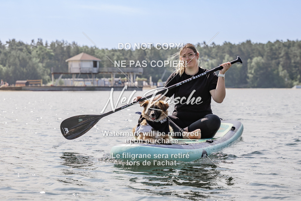 BUHU_SUP_347 | nelerasche
