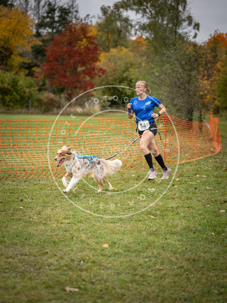 Pfotenfotografie_DV3A2906 | Hundefotografie, Tierfotograf, Pfotenfotografie, Fotoshooting Hund, Hunde Portrait, Hundesport, Hundeportraits, Heideshooting, Hunde, Sportfotograf, Hundefotograf, Turnierhundsport, THS,  - Realisiert mit Pictrs.com