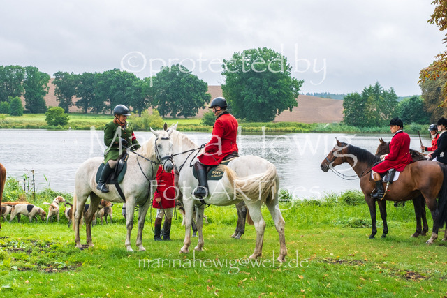 Jagd Kletkamp 26-9589_MarinaHewig | Fotografie, FotoArt, PferdesportArt, Pferdesportfotografie, Landschaftsfotografie, Reisefotografie, Reise, Pferde - Realisiert mit Pictrs.com