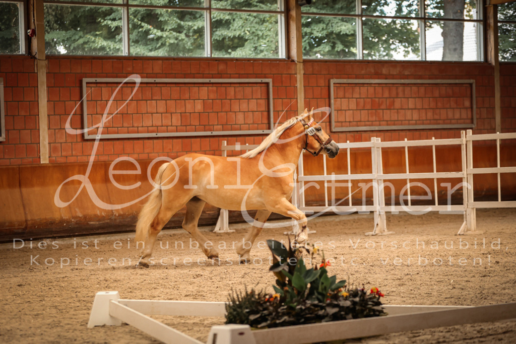 SaFL00209 | Leoni Ertmer Photography - Realisiert mit Pictrs.com