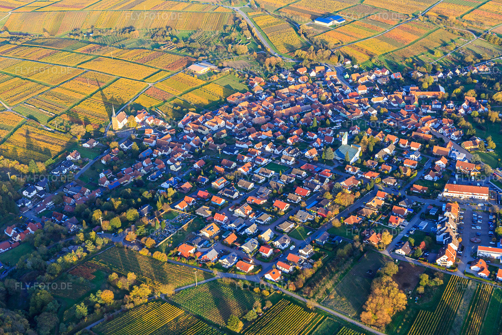 Luftbild: Winzerdorf aus Westen zwichen herbstlich gefärbten Weinbergen im Ortsteil Rechtenbach in Schweigen-Rechtenbach im Bundesland Rheinland-Pfalz in Deutschland. Foto: IMG_104438.jpg vom 31.10.2017 durch Werner Riehm/FLY-FOTO.de
