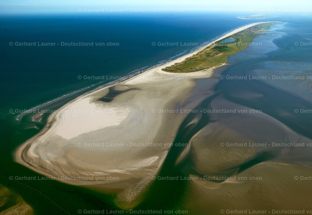 3091434 | Juist, Nationalpark Niedersächsisches Wattenmeer