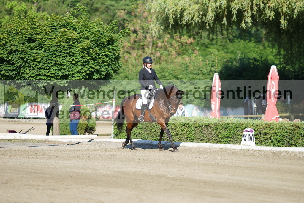 DSC04032 | equestrian-live-com