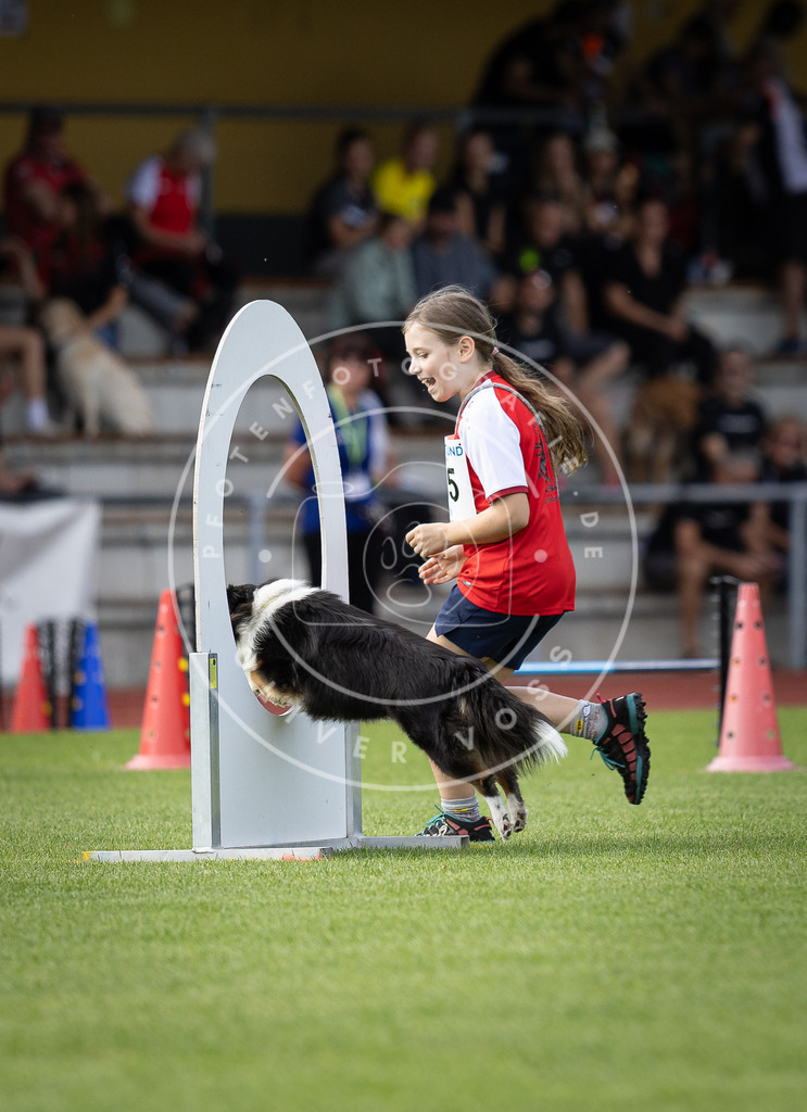 Pfotenfotografie_DV3A1307 | Hundefotografie, Tierfotograf, Pfotenfotografie, Fotoshooting Hund, Hunde Portrait, Hundesport, Hundeportraits, Heideshooting, Hunde, Sportfotograf, Hundefotograf, Turnierhundsport, THS,  - Realisiert mit Pictrs.com