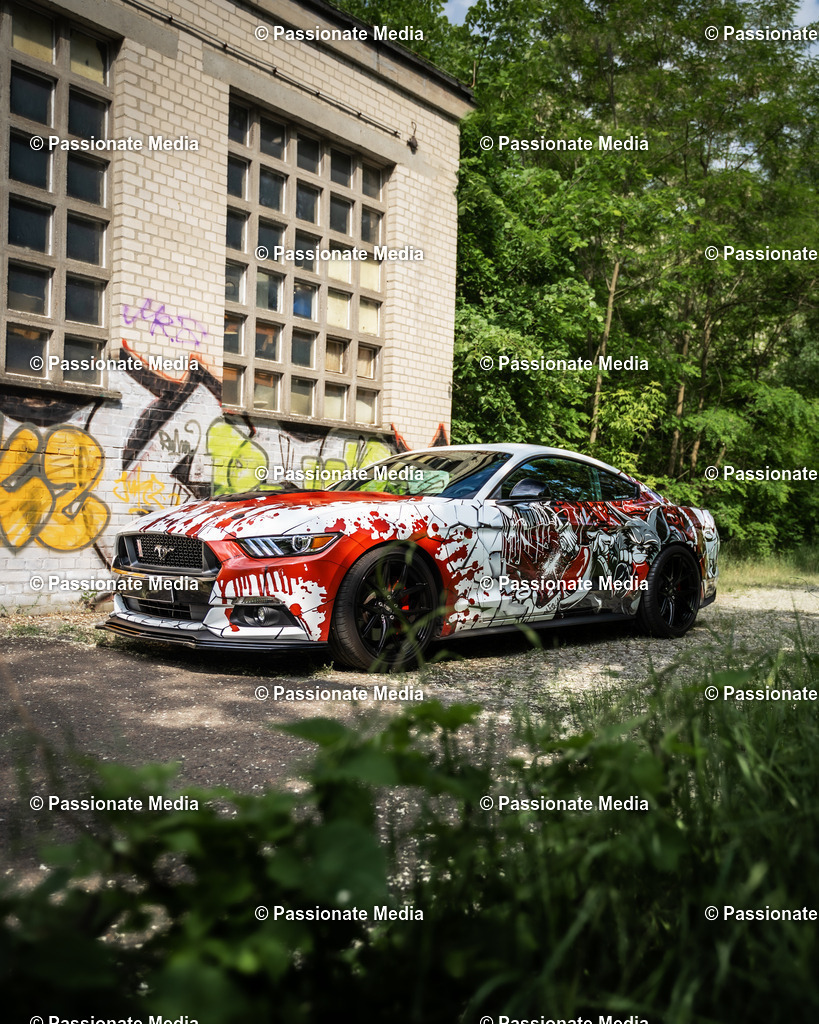 DSC04909 | Passionate Media, dein Fotograf aus Brandenburg, Märkisch Oderland, im Bereich Motorsport, Autos und Motorräder sowie Events und auch Hunde. Shootings oder auch Eventbegleitungen können bei mir gebucht we